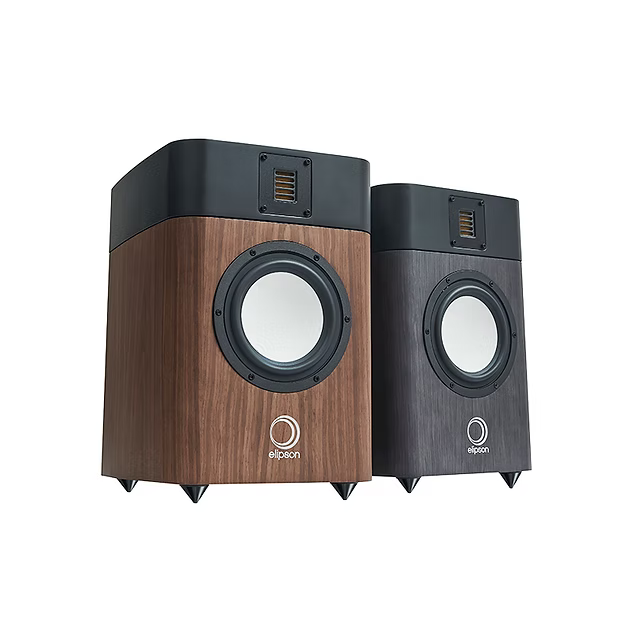 Bookshelves speakers 100 W