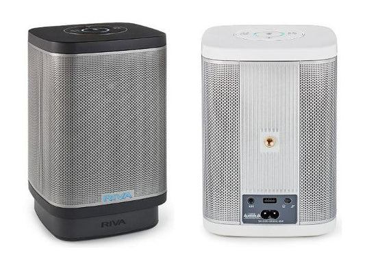 Riva concert speaker