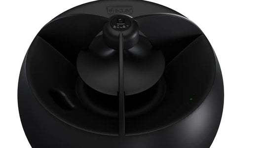 CGLOBE5PDBK
