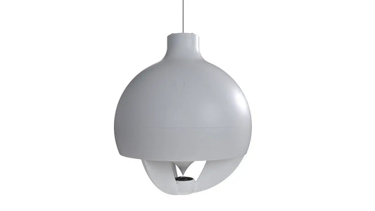 CGLOBE5RMWH