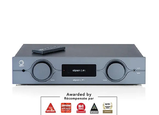 P1 F (Fully equipped with DAC card and Phono Card)