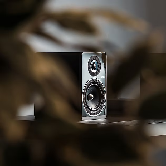 Bookshelves speakers  85 W