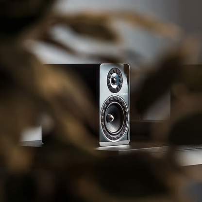 Bookshelves speakers  85 W
