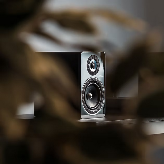 Bookshelves speakers  85 W