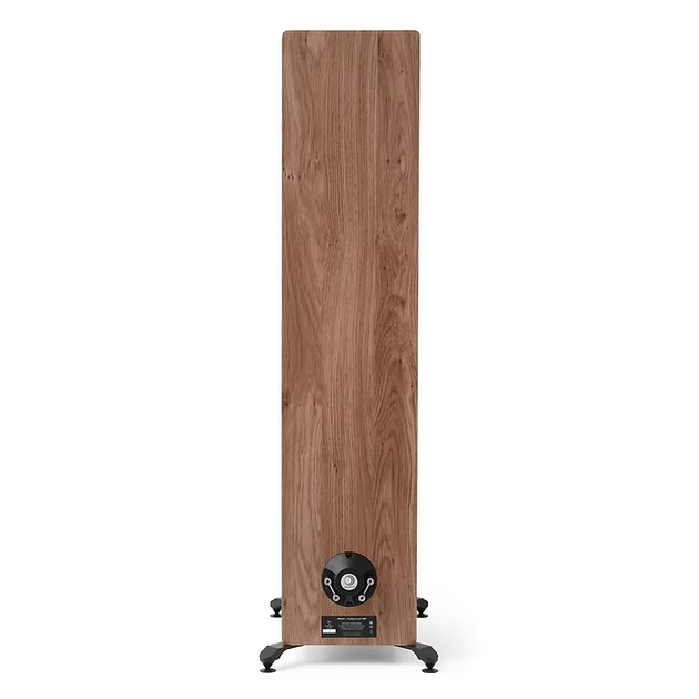 Floorstand speakers  250 W