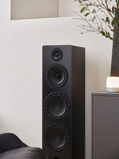 Floorstand speakers  250 W