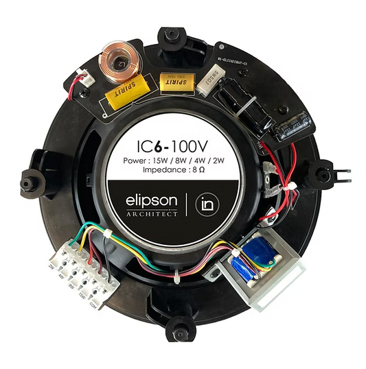 IC6 - 100V