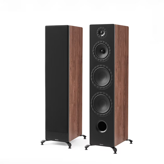 Floorstand speakers  250 W