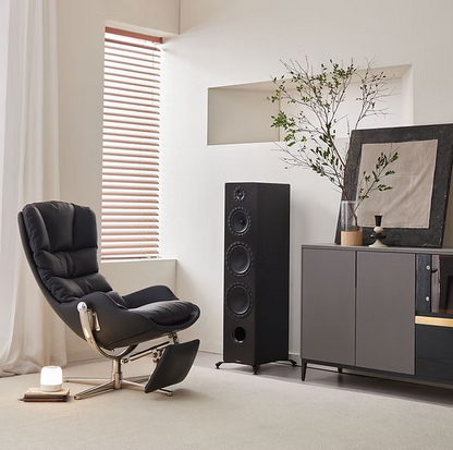 Floorstand speakers  250 W