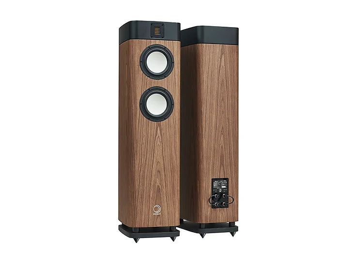 Floorstand speakers  150 W - Perfect volume
