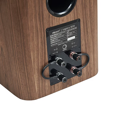Bookshelves speakers  100 W