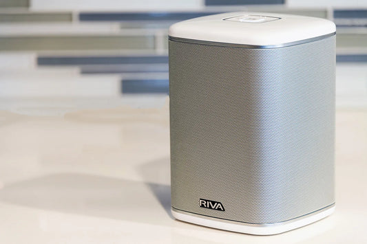 Riva arena speaker