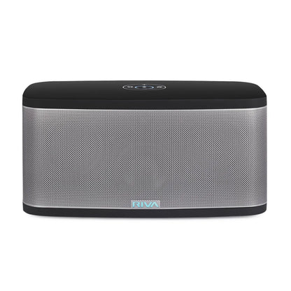 Riva Stadium Speaker