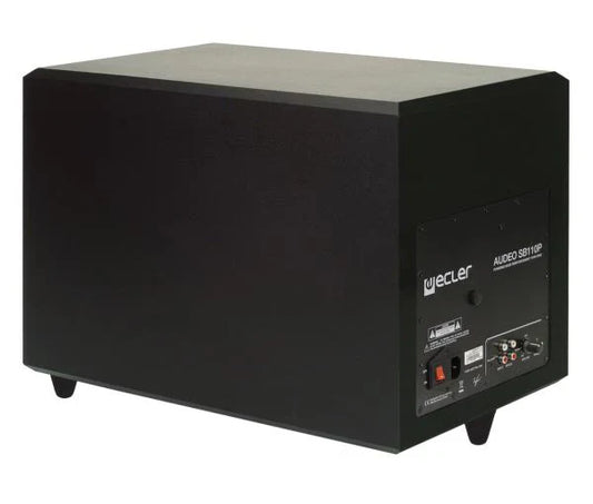AUDEOSB110P
