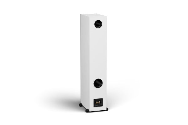 SIGNUM 70 - Perfect volume